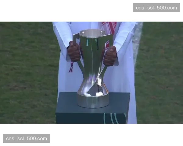 细节：2026年总冠军奖杯“拉里·奥布莱恩杯”的保养与运输全程揭秘